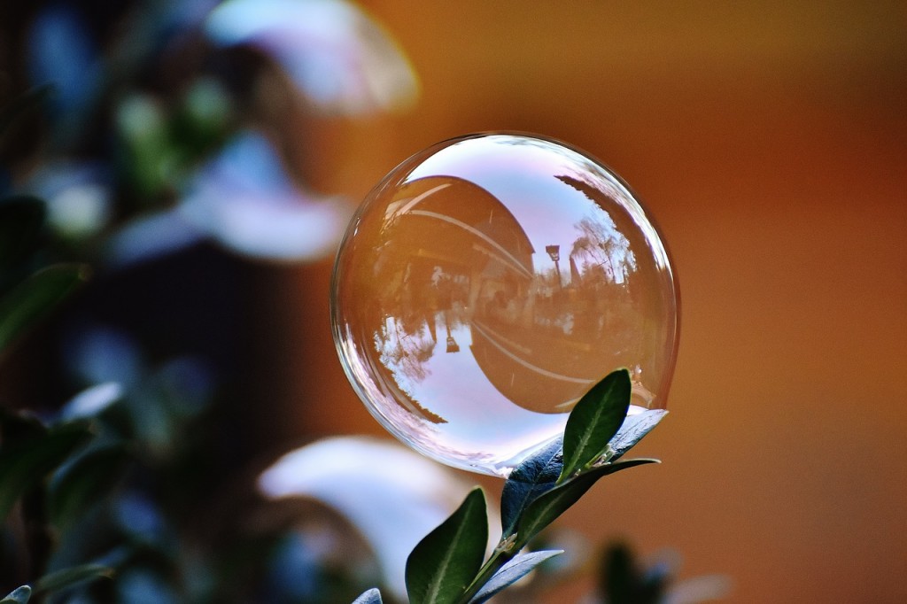 soap-bubble-leaf